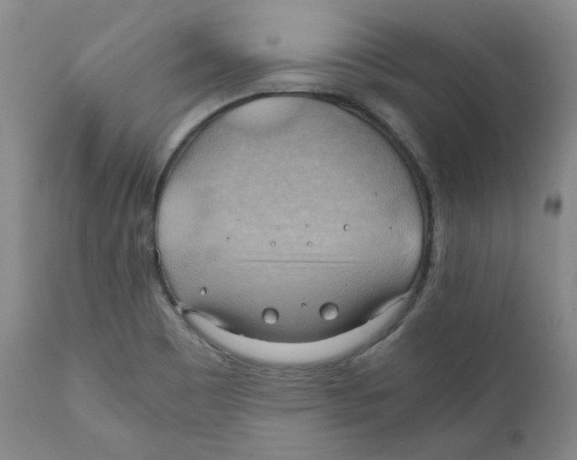 X0000111031465200907231609