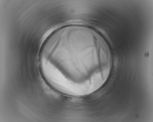 X0000111031466200907231609