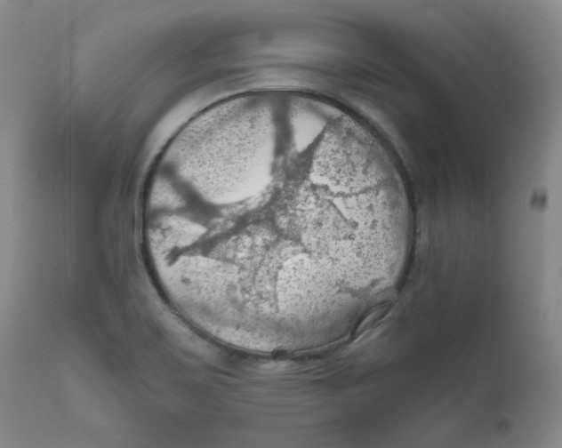 X0000111031467200907231609