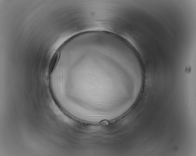 X0000111031468200907231609