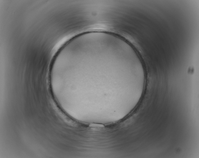 X0000111031469200907231609