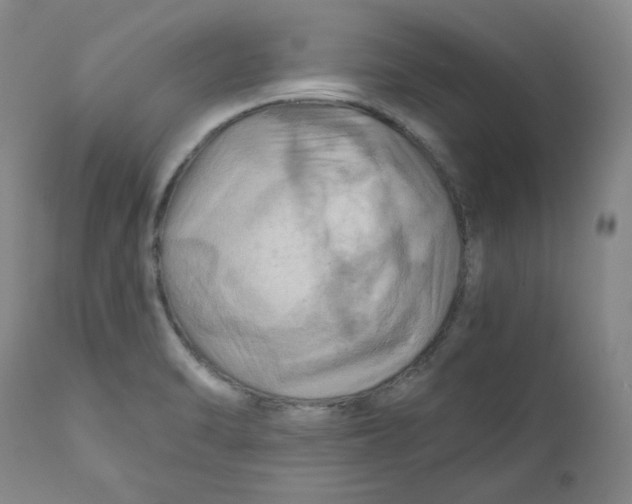 X0000111031470200907231609