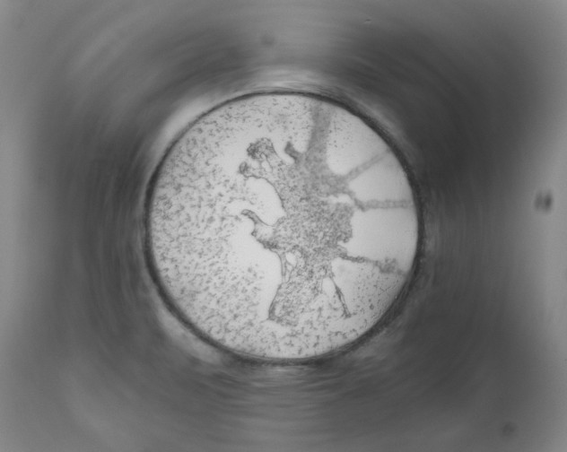 X0000111031471200907231609