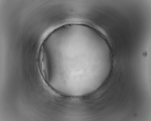 X0000111031472200907231609