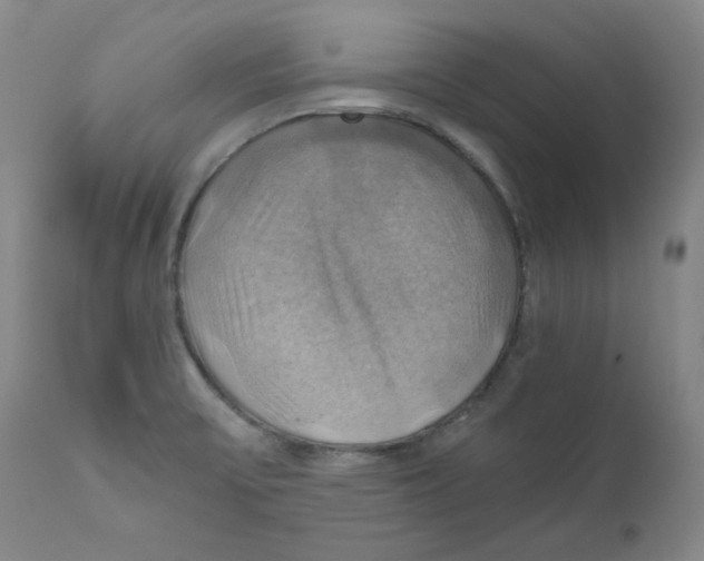 X0000111031475200907231609