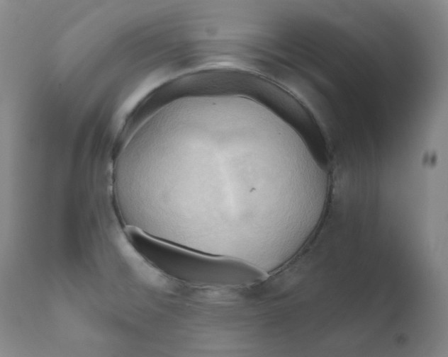 X0000111031476200907231609