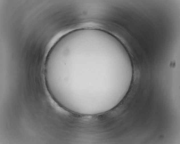 X0000111031478200907231609