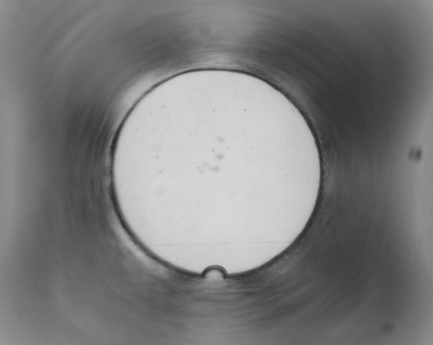 X0000111031479200907231609