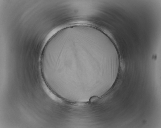 X0000111031482200907231609