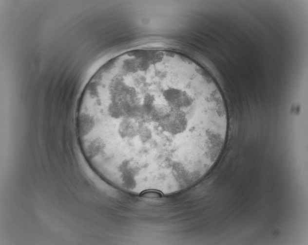 X0000111031483200907231609