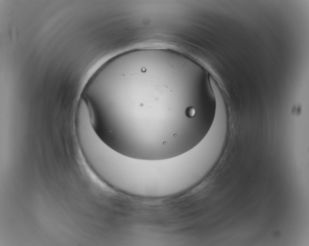 X0000111031484200907231609