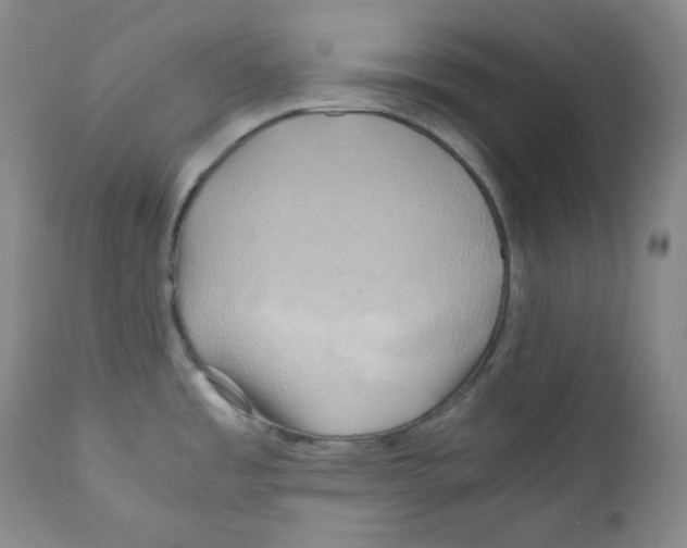 X0000111031485200907231609