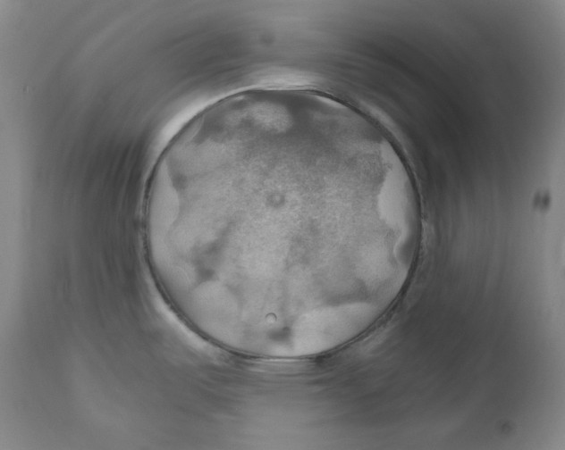 X0000111031487200907231609