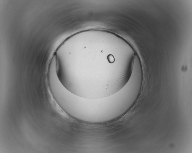 X0000111031488200907231609