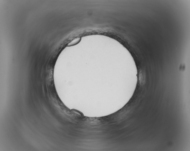 X0000111031492200907231608