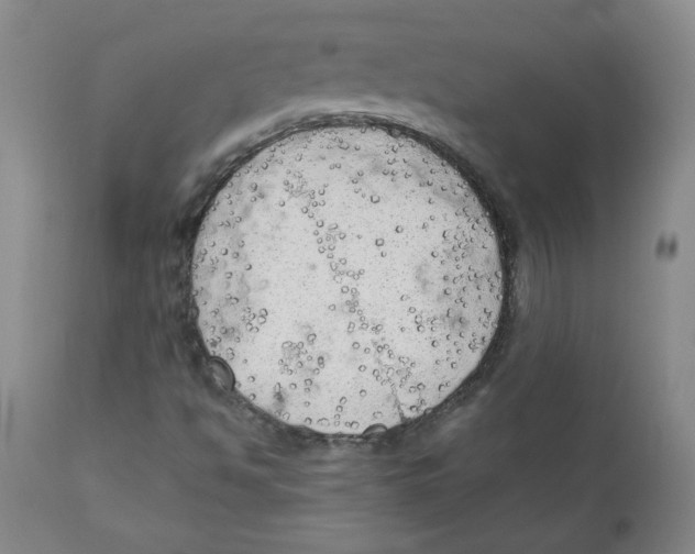 X0000111031494200907231608
