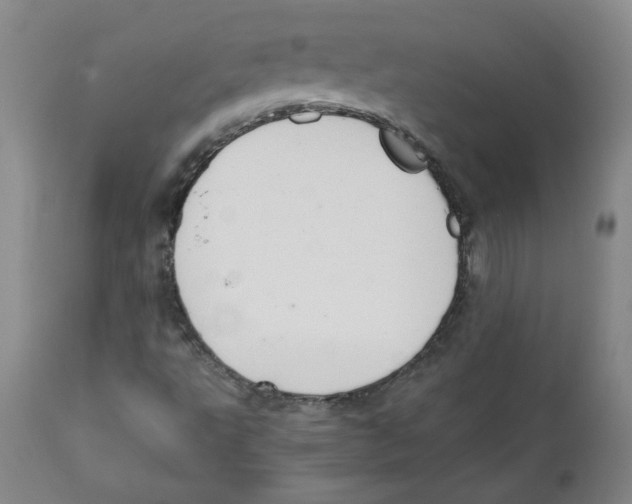 X0000111031495200907231608