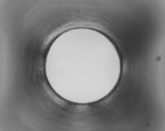 X0000111031498200907231608