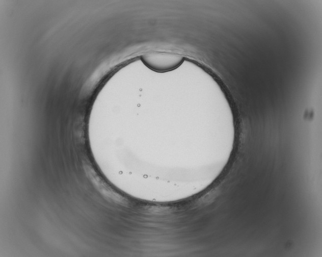 X0000111031499200907231608