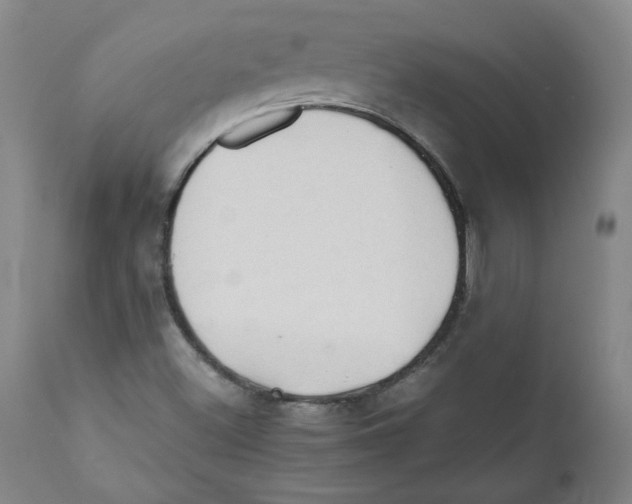 X0000111031500200907231608