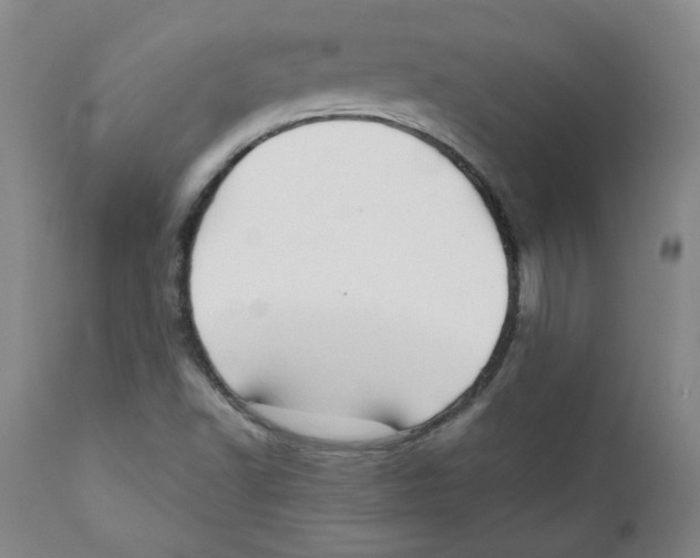 X0000111031502200907231608