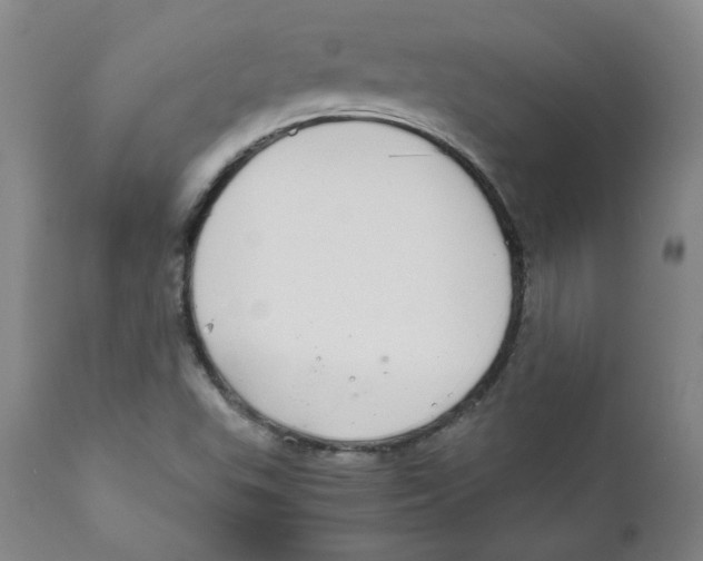 X0000111031503200907231608