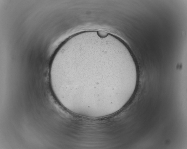 X0000111031507200907231608