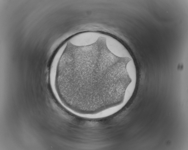 X0000111031509200907231608