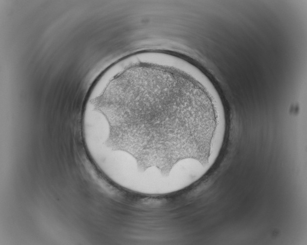 X0000111031513200907231608