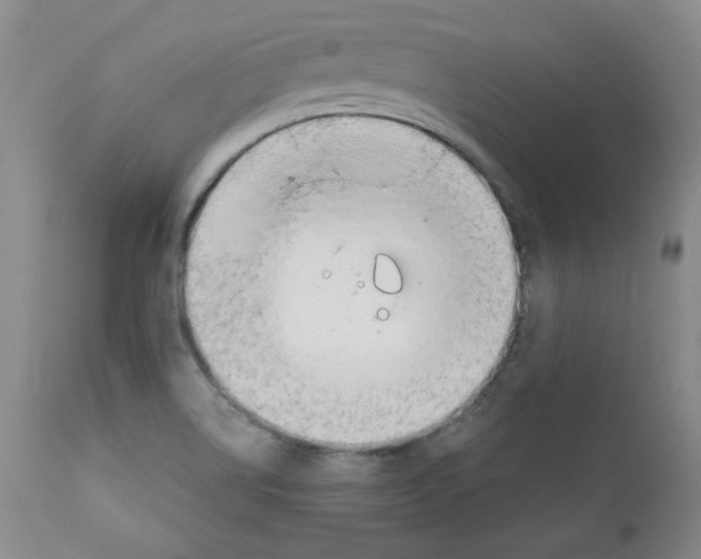 X0000111031514200907231608