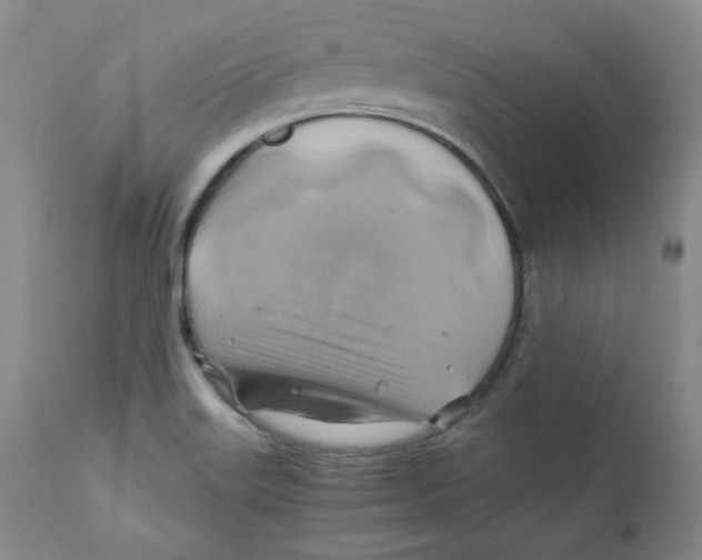 X0000111031515200907231608