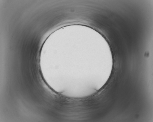 X0000111031516200907231608