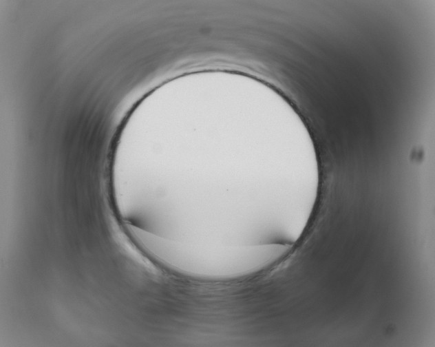 X0000111031518200907231608