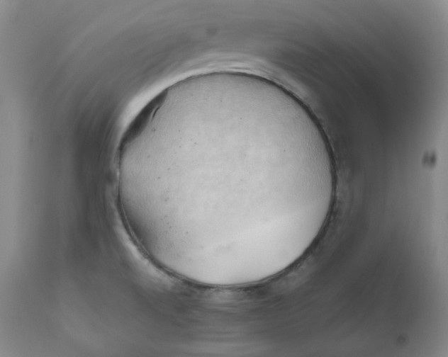 X0000111031520200907231608