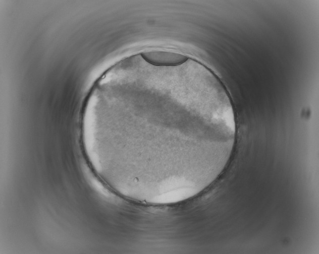 X0000111031523200907231608