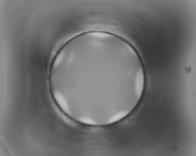 X0000111031525200907231608