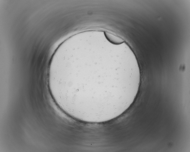 X0000111031526200907231608