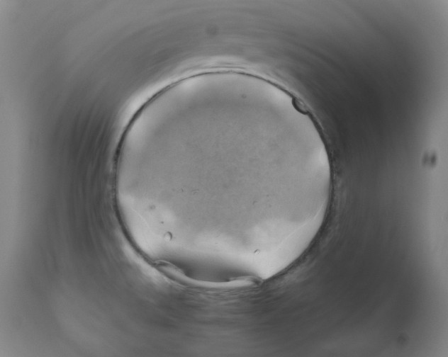 X0000111031527200907231608