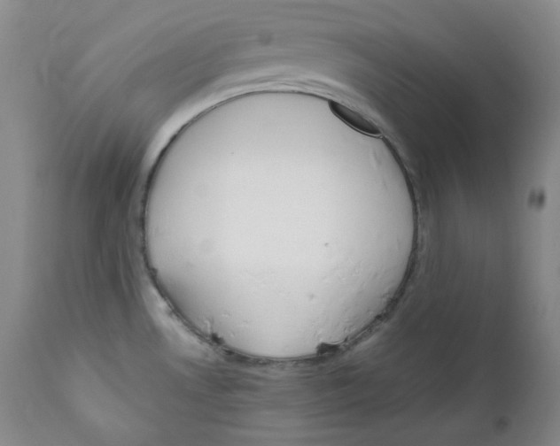 X0000111031530200907231608