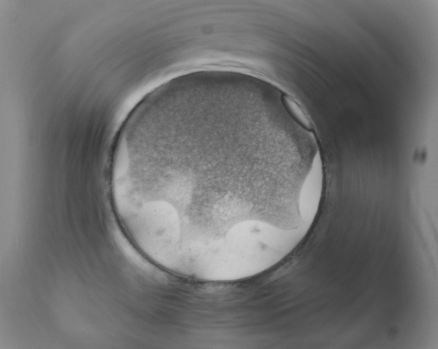 X0000111031531200907231608