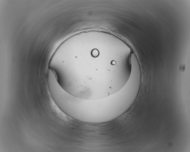 X0000111031532200907231608