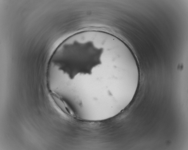 X0000111031533200907231608