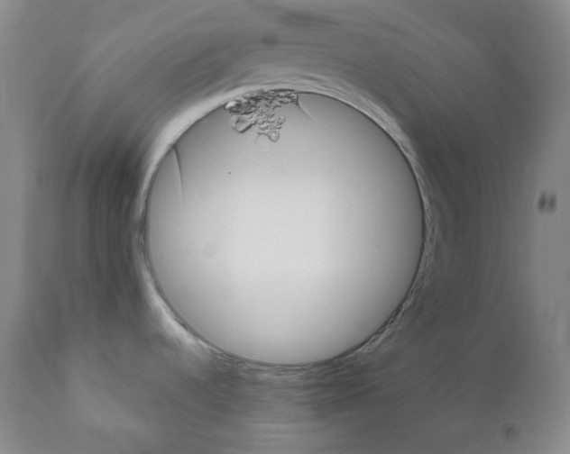 X0000111031536200907231609