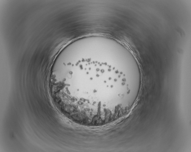 X0000111030001200908061446