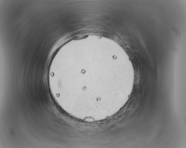X0000111030004200908061446