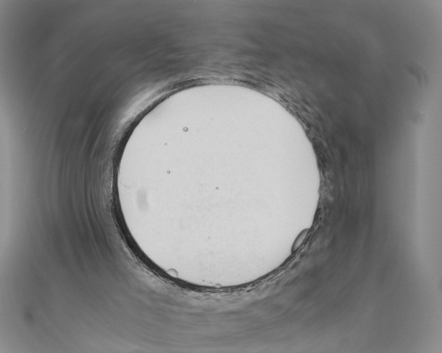 X0000111030005200908061446