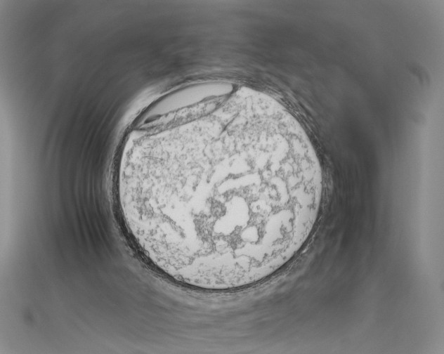 X0000111030006200908061446