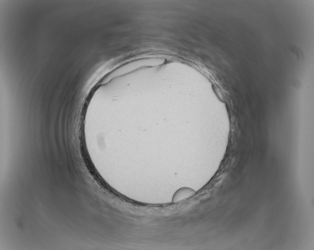 X0000111030007200908061446