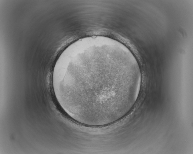 X0000111030010200908061445