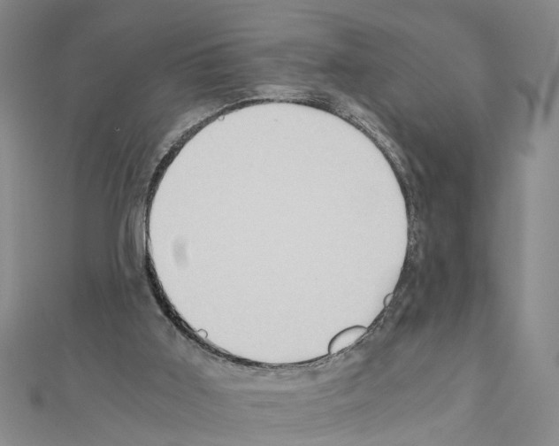 X0000111030011200908061445